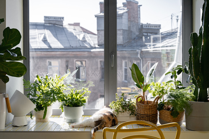 Солнечная мансарда в Санкт-Петербурге