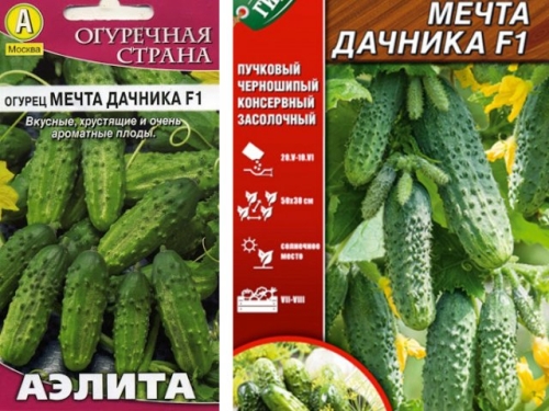 15 лучших сортов и гибридов пучковых огурцов: новинки и проверенные варианты