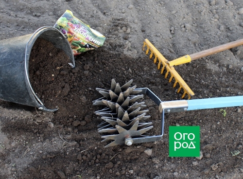 Почему картофель бывает дуплистым