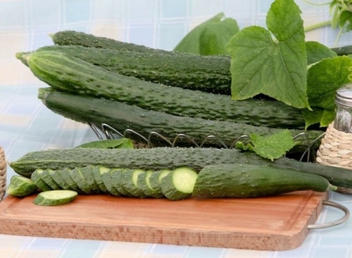 Какие огурцы не боятся мучнистой росы – сорта и гибриды, устойчивые к болезни