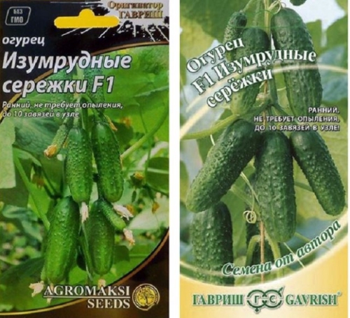 15 лучших сортов и гибридов пучковых огурцов: новинки и проверенные варианты