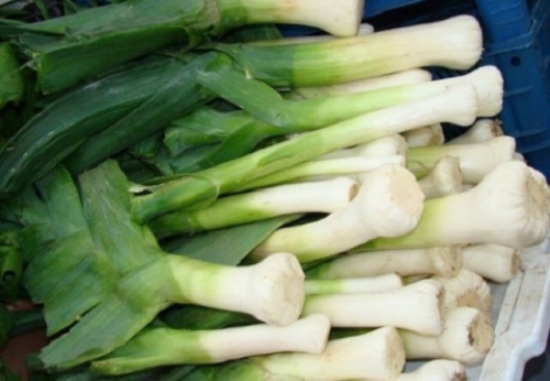 Что посеять в январе, если "чешутся руки"