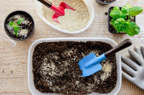 5 покупок для рассады, на которых не стоит экономить