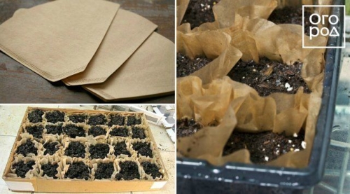 12 способов, как сделать горшочки для рассады своими руками