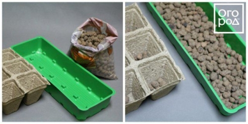 Посев семян перца на рассаду и пикировка: пошаговая инструкция