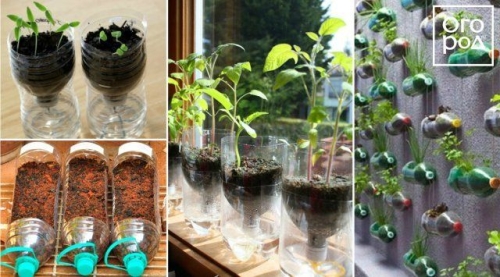 12 способов, как сделать горшочки для рассады своими руками