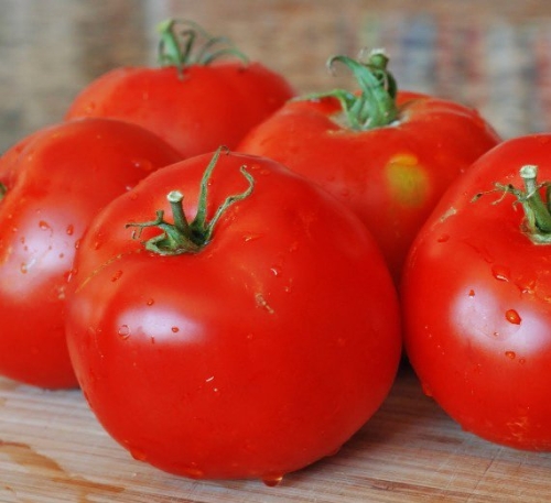 19 гигантов: самые крупноплодные сорта и гибриды томатов