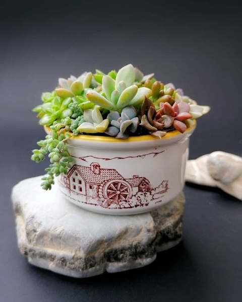 Фитодизайн в интерьере: особенности, общие правила и 6 направлений (70 фото)