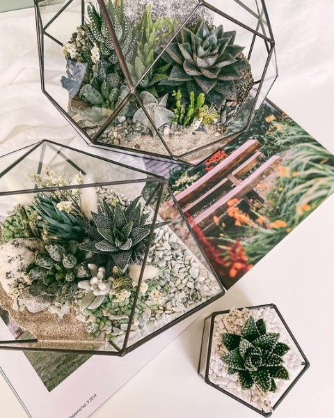 Фитодизайн в интерьере: особенности, общие правила и 6 направлений (70 фото)