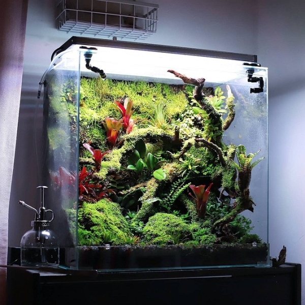 Фитодизайн в интерьере: особенности, общие правила и 6 направлений (70 фото)