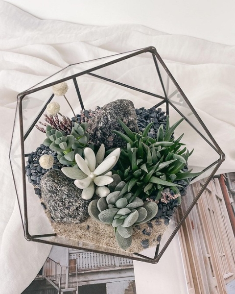 Фитодизайн в интерьере: особенности, общие правила и 6 направлений (70 фото)