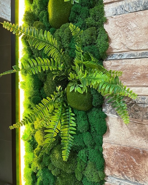 Фитодизайн в интерьере: особенности, общие правила и 6 направлений (70 фото)