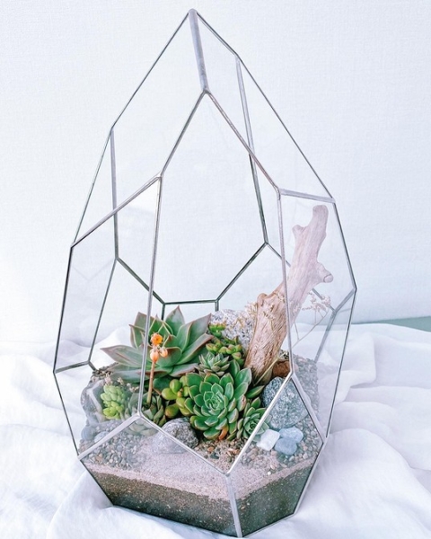 Фитодизайн в интерьере: особенности, общие правила и 6 направлений (70 фото)