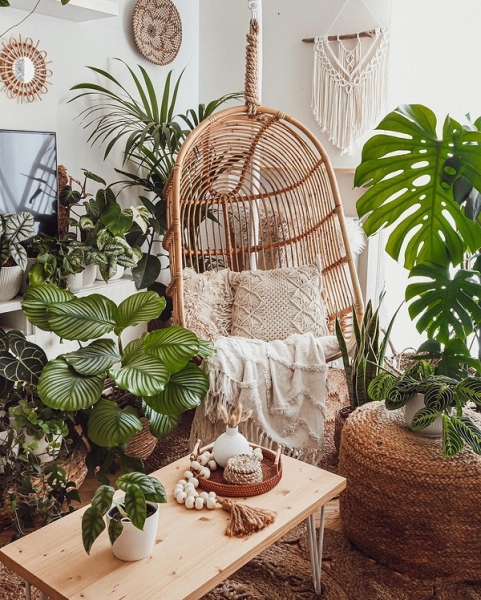 Фитодизайн в интерьере: особенности, общие правила и 6 направлений (70 фото)