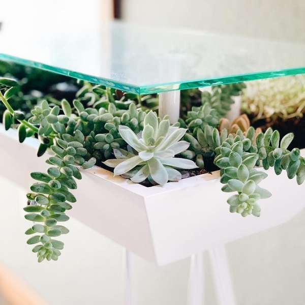 Фитодизайн в интерьере: особенности, общие правила и 6 направлений (70 фото)