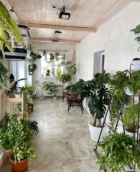 Фитодизайн в интерьере: особенности, общие правила и 6 направлений (70 фото)