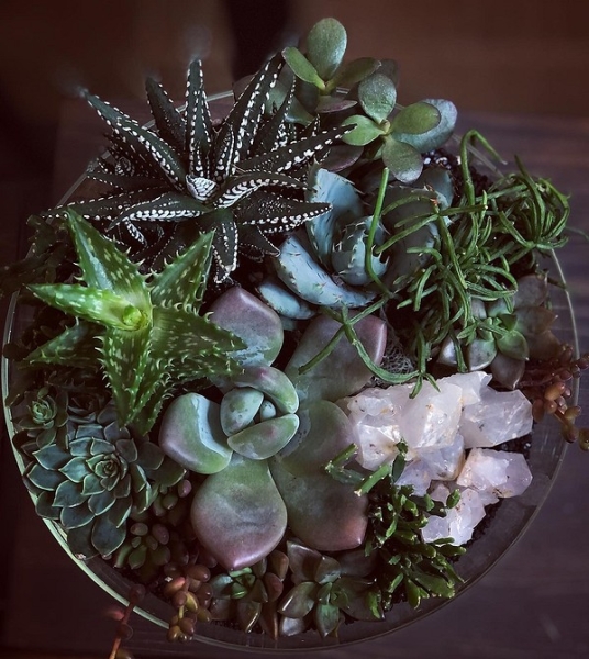 Фитодизайн в интерьере: особенности, общие правила и 6 направлений (70 фото)