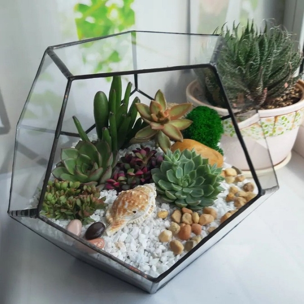 Фитодизайн в интерьере: особенности, общие правила и 6 направлений (70 фото)