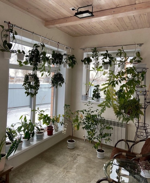 Фитодизайн в интерьере: особенности, общие правила и 6 направлений (70 фото)