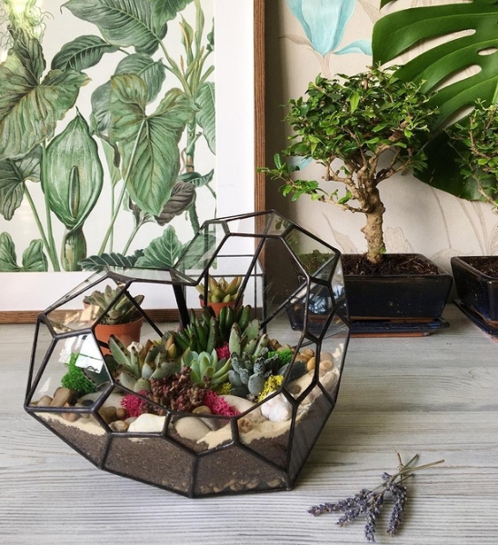 Фитодизайн в интерьере: особенности, общие правила и 6 направлений (70 фото)