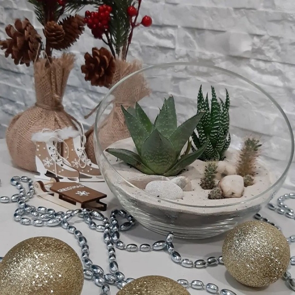 Фитодизайн в интерьере: особенности, общие правила и 6 направлений (70 фото)