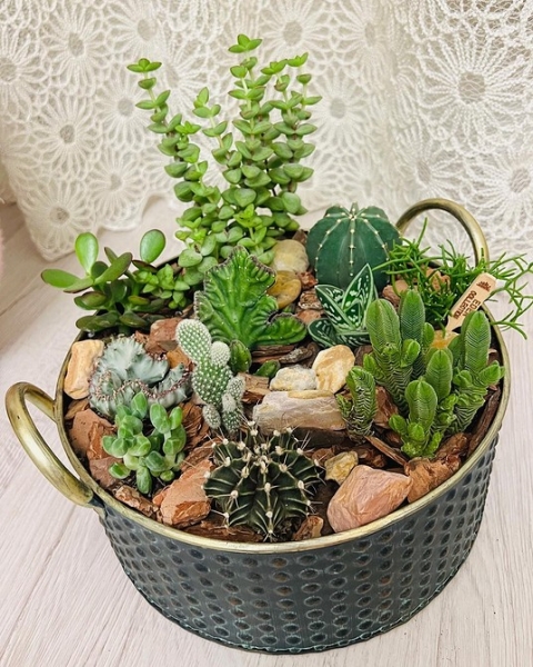 Фитодизайн в интерьере: особенности, общие правила и 6 направлений (70 фото)