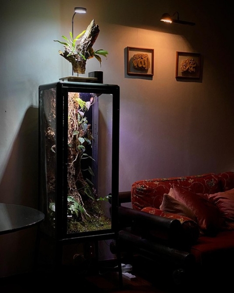 Фитодизайн в интерьере: особенности, общие правила и 6 направлений (70 фото)