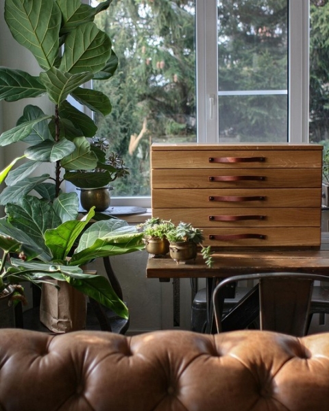 Фитодизайн в интерьере: особенности, общие правила и 6 направлений (70 фото)