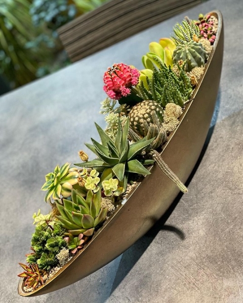 Фитодизайн в интерьере: особенности, общие правила и 6 направлений (70 фото)