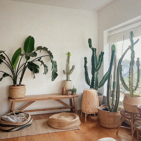 Фитодизайн в интерьере: особенности, общие правила и 6 направлений (70 фото)