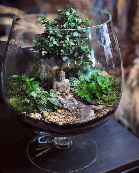 Фитодизайн в интерьере: особенности, общие правила и 6 направлений (70 фото)