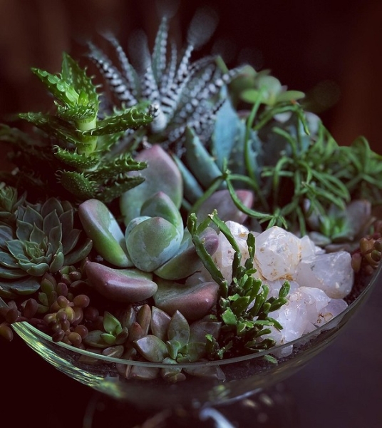 Фитодизайн в интерьере: особенности, общие правила и 6 направлений (70 фото)