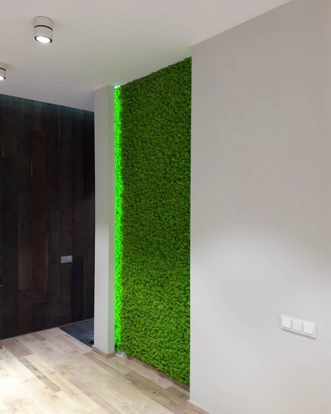 Фитодизайн в интерьере: особенности, общие правила и 6 направлений (70 фото)