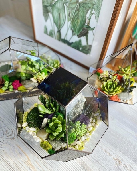 Фитодизайн в интерьере: особенности, общие правила и 6 направлений (70 фото)