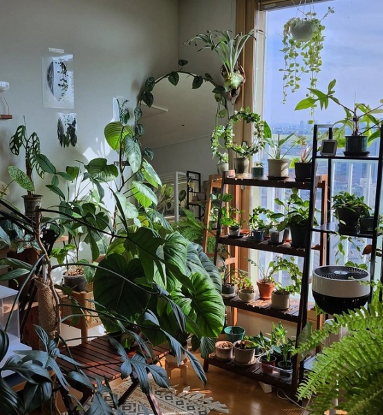 Фитодизайн в интерьере: особенности, общие правила и 6 направлений (70 фото)