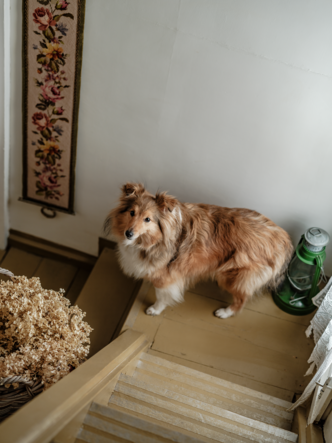 Интерьер месяца: деревянная дача с зимним декором в Истре