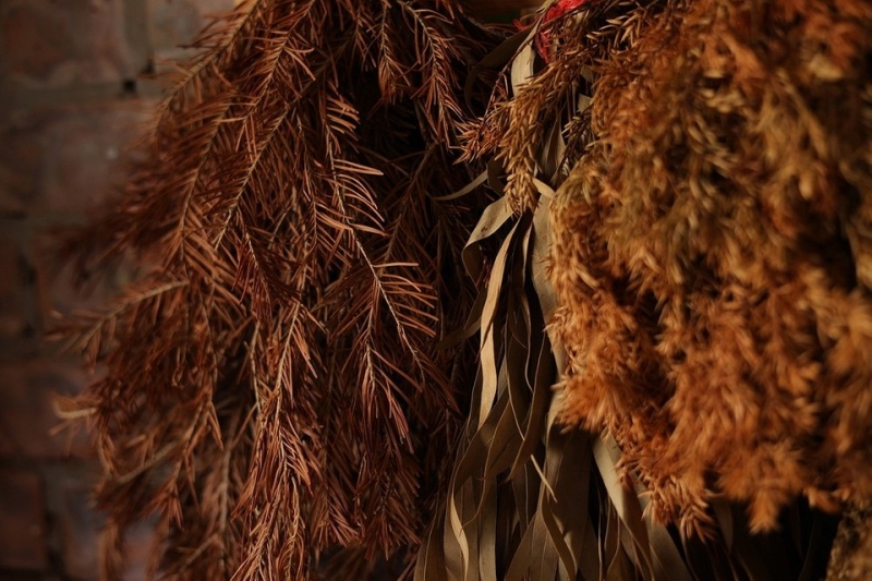 Как использовать хвою с елки в быту после Нового года: 6 способов