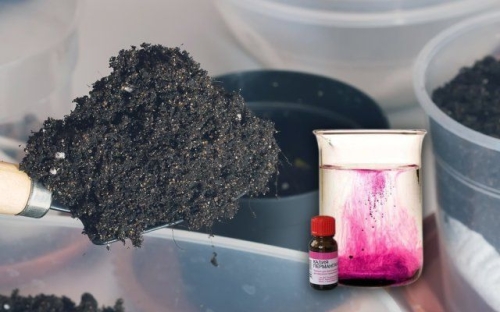 Земля для рассады – как приготовить правильную смесь для молодых растений