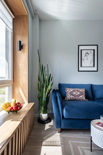 Синий диван в интерьере: советы по выбору и лучшие варианты сочетаний + 105 фото