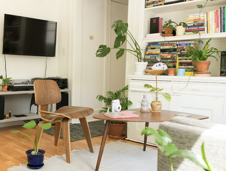 5 важных моментов в уходе за комнатными растениями, о которых все забывают