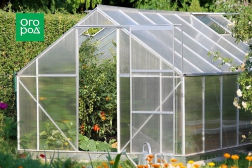 Ранние томаты: как получить урожай в июне