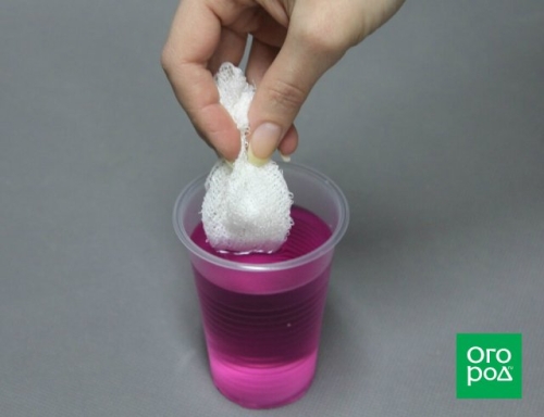 Почему не взошли томаты