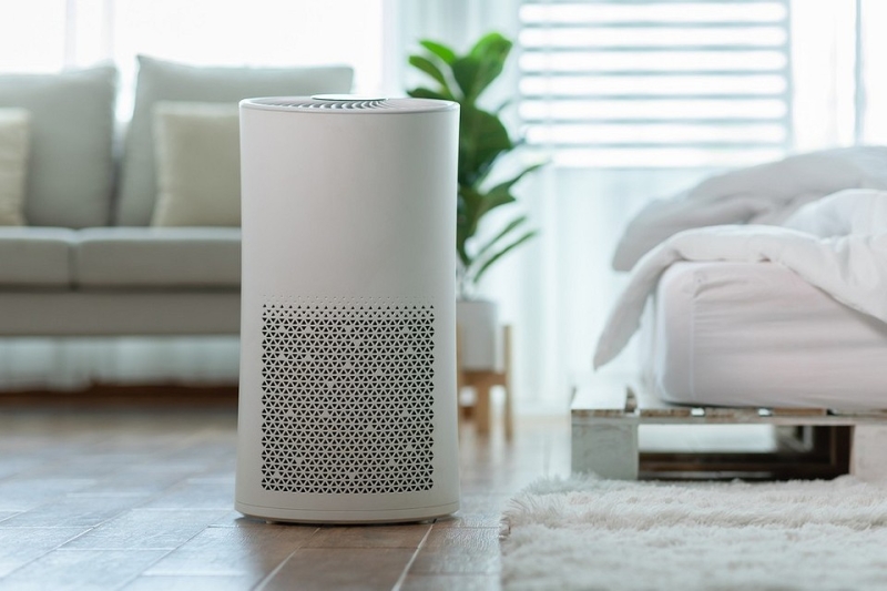 5 проверенных способов улучшить качество воздуха в квартире