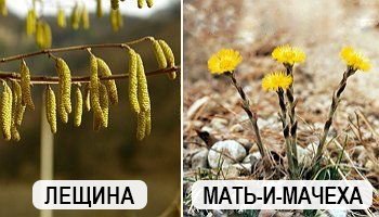 Что и когда сеять в огороде – народные приметы в помощь дачнику