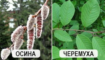 Что и когда сеять в огороде – народные приметы в помощь дачнику