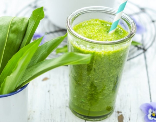 Как вырастить черемшу в средней полосе