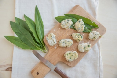 Как вырастить черемшу в средней полосе