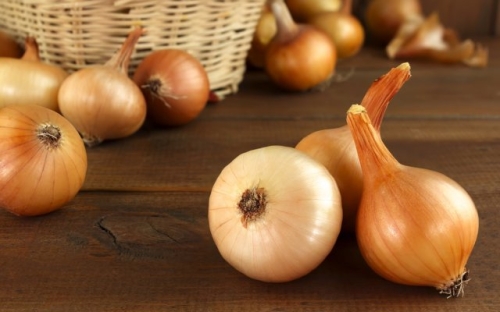 Чем подкормить рассаду для хорошего роста – лучшие народные средства