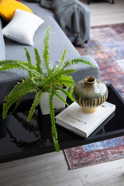 Необычная планировка и эффектный интерьер: уединенный загородный дом у поймы реки Дон