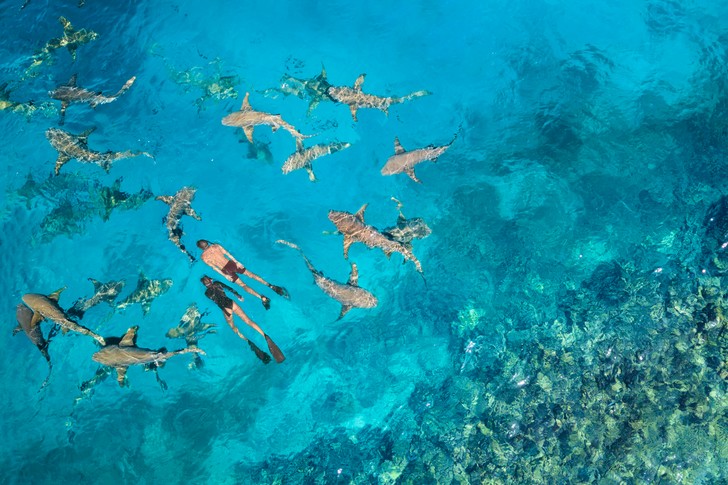 Отель Anantara Veli Maldives Resort открывается после реновации